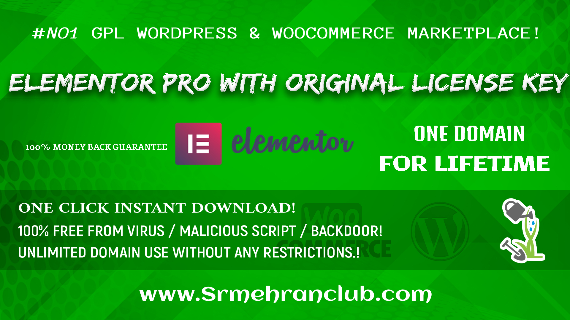 Elementor Pro WordPress Plugin Original License key Included Single Domain For Lifetime