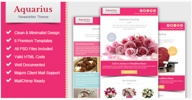 Valentine Email Marketing & Newsletter Template