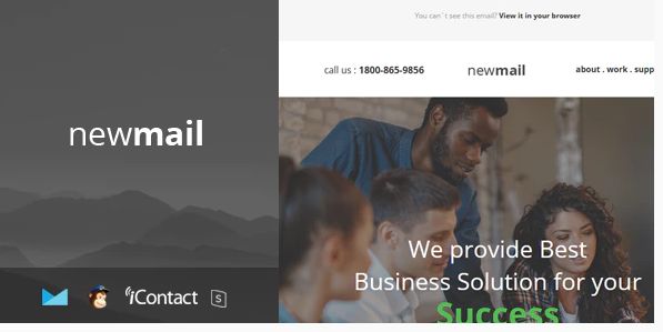 newmail - Responsive E-mail Template + Online Access
