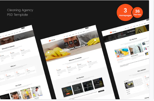Cleaning PSD Template