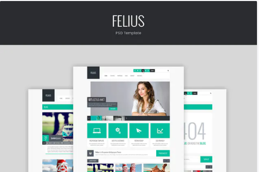 Felius – PSD Template