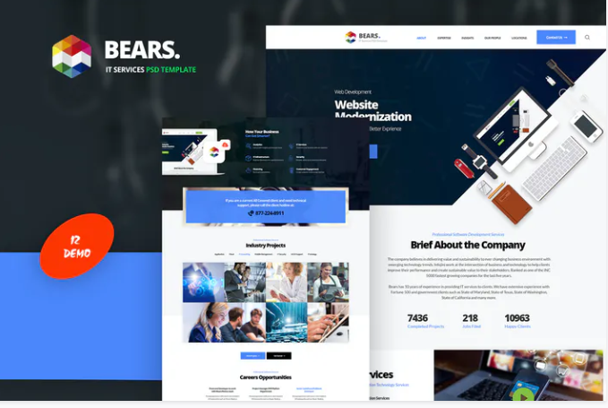 Bear's - IT Services PSD Template