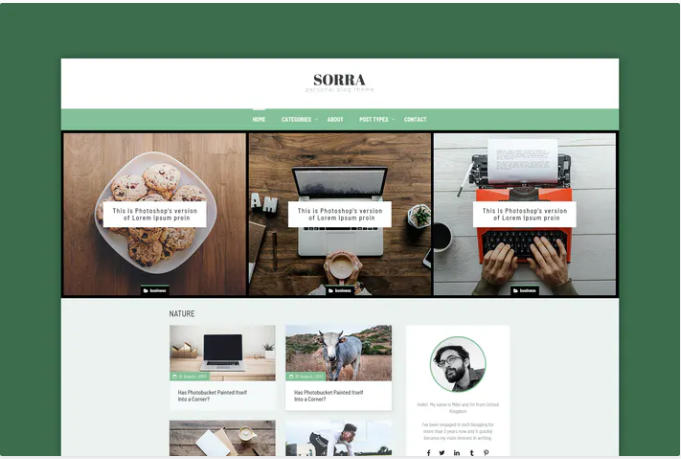 Sorra - Personal Blog PSD Template