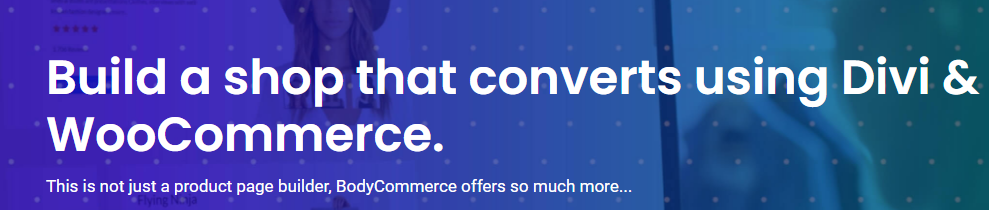 Product Image - Divi BodyCommerce 8.1.1
