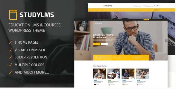 Studylms - Education LMS & Courses WordPress Theme 1.0