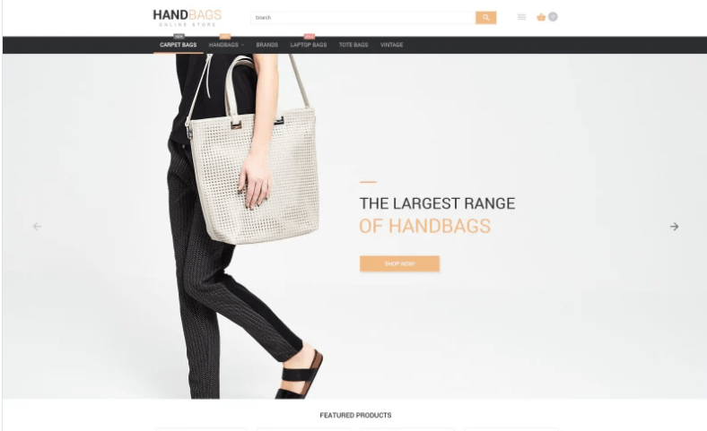 Stylish Bags Boutique Magento Theme