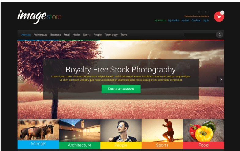 Art Gallery Responsive Magento Theme
