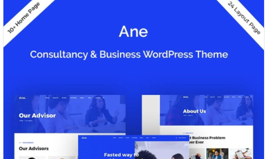 Ane-Business & Consulting WordPress Theme