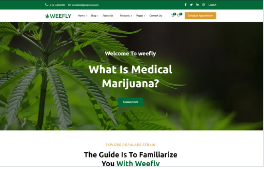 Weefly | Medical Cannabis & Marijuana WordPress Theme