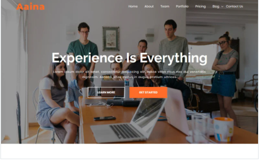 Aaina - One Page Parallax WordPress Theme