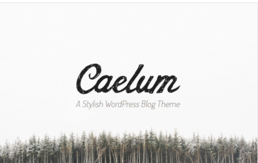 Caelum - Minimalistic WordPress Theme