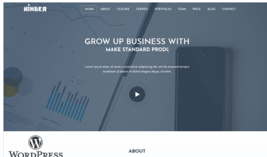 Kinger - Personal Business Portfolio Landing