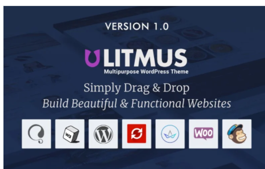Litmus - Creative Multipurpose WordPress Theme