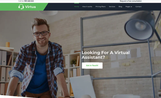 Virtua - Virtual Assistant WordPress Theme