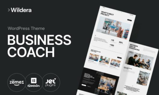 Wildera - clean business WordPress Theme