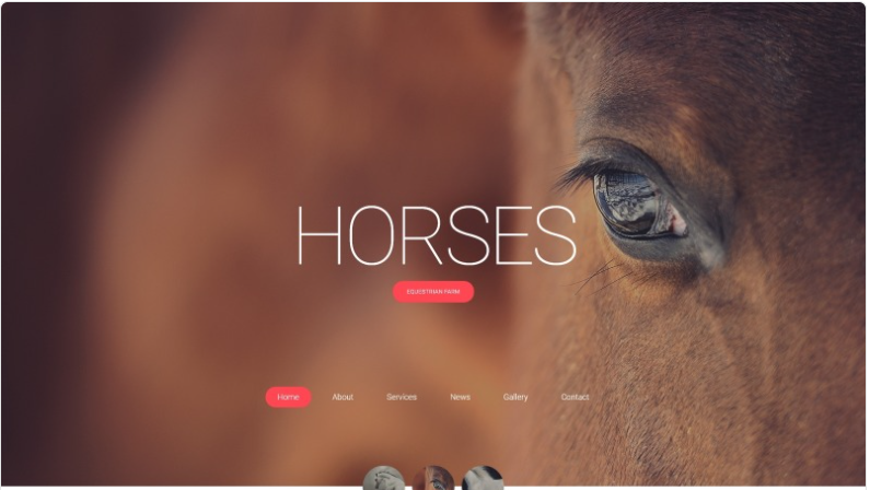 Horses - Horse Responsive Creative HTML Website Template 1.0