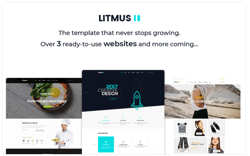 Litmus - Creative Multipurpose Website Template