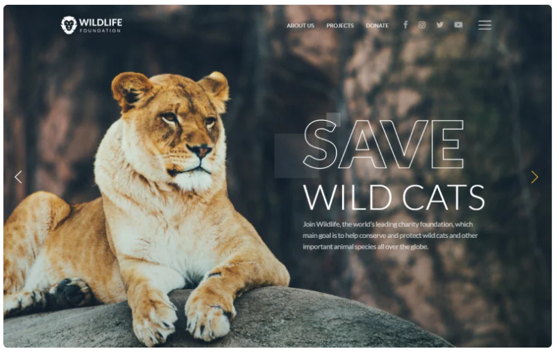 WildLife - Wild Life Multipage Creative HTML Website Template 1.0
