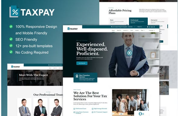 TaxPay - Advisor & Financial Consulting Elementor Template Kit
