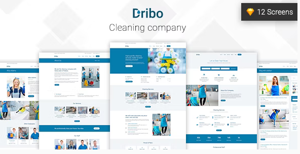 Dribo — Cleaning company Sketch Template