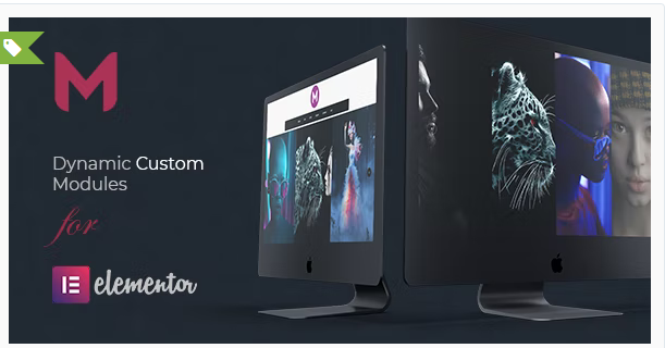 Modulify | Modules Addon for Elementor Page Builder
