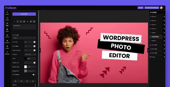 Palleon - WordPress Image Editor 2.9.3