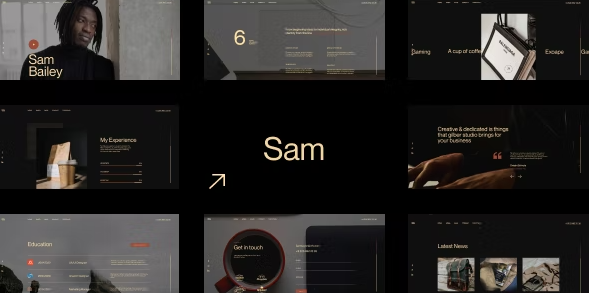 Sam Bailey - Personal CV/Resume WordPress Theme