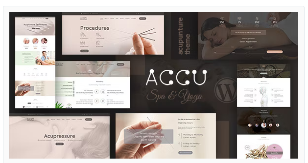 Accu - Healthcare, Massage WordPress Theme