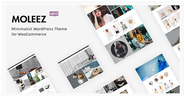 Moleez - Minimalist WordPress Theme for WooCommerce