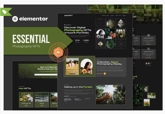 Essential - Photography NFT Portfolio Elementor Template Kit