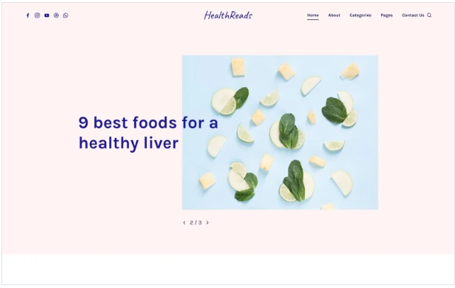 HealthReads - Healthy Living Website Template