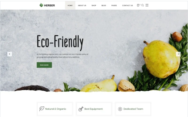 Herber - Accurate Organic Food Online Store Website Template