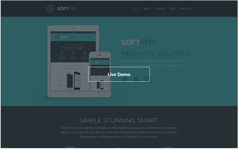 Software Responsive Website Template