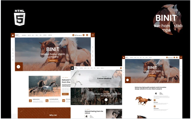 Binit Horses and Stables HTML5 Template