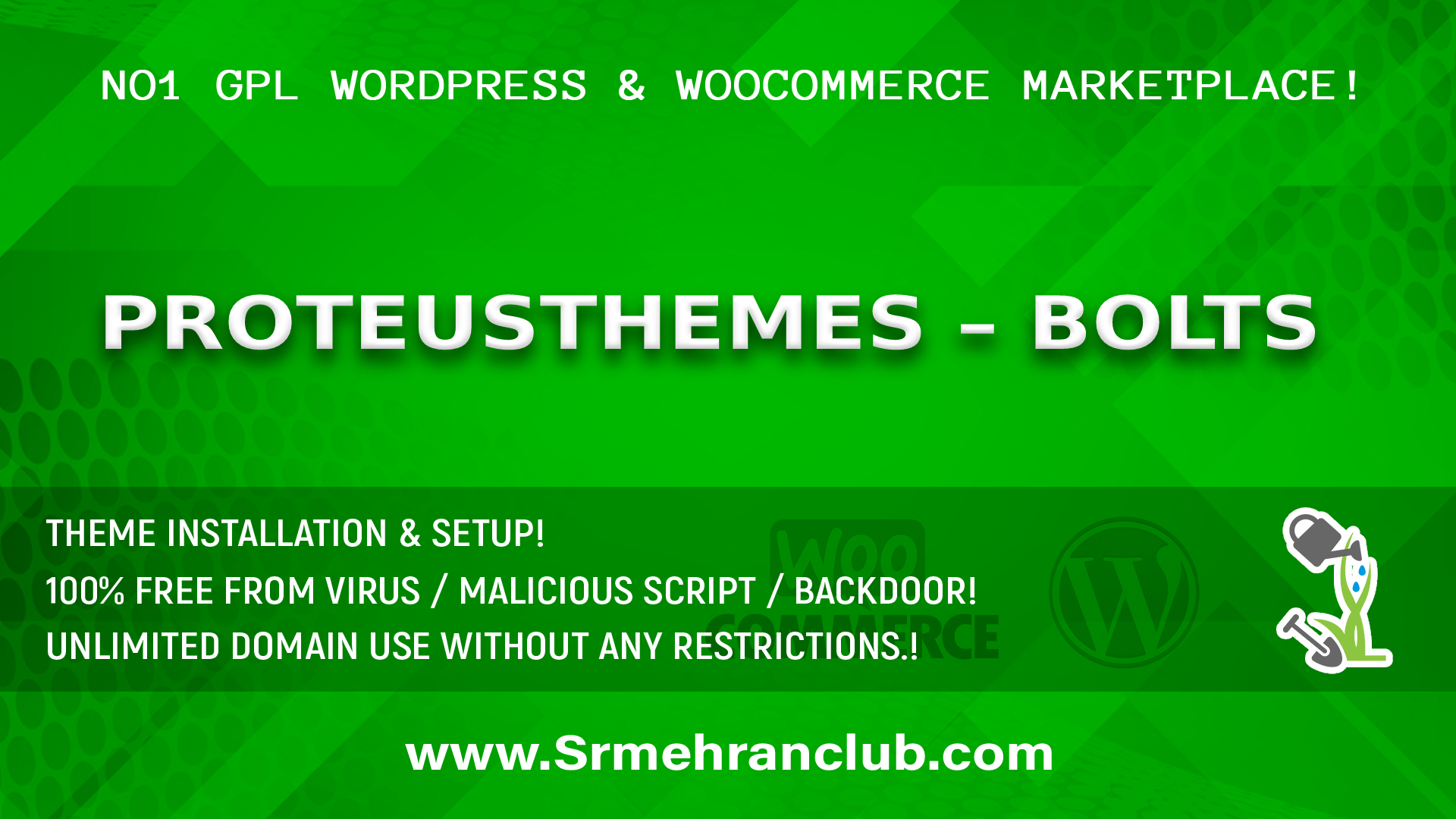 ProteusThemes – Bolts