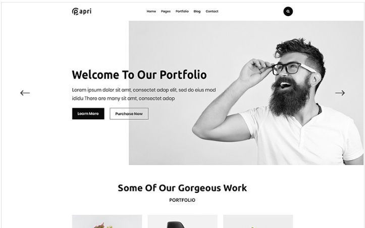 Papri - Portfolio Creative HTML5 Template Website Template