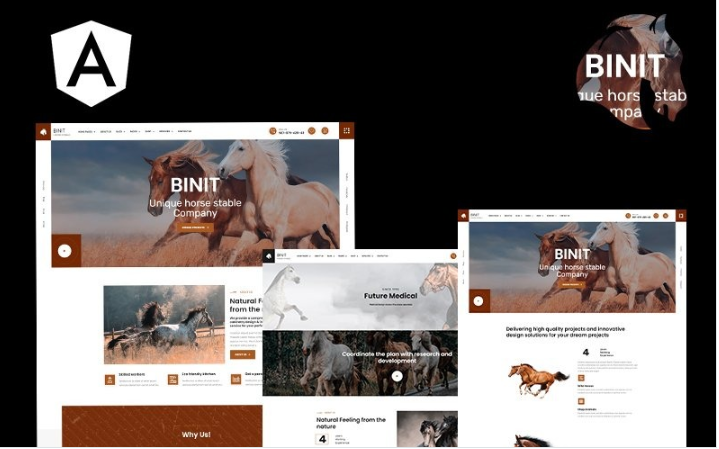 Binit Horses and Stables Angular Website Template