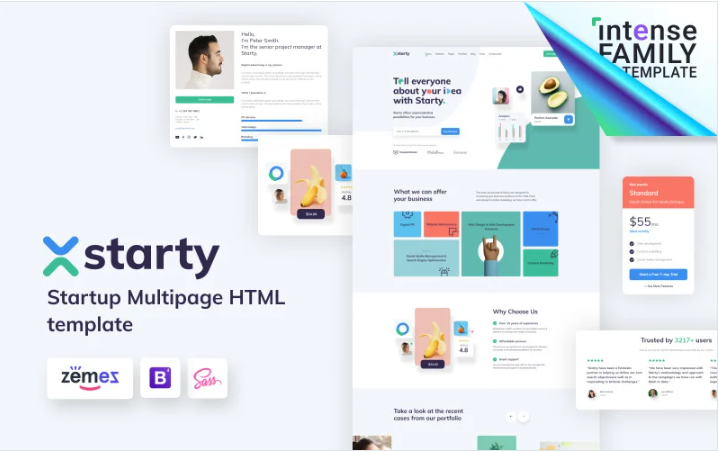 Starty - IT Startup Company Website Template