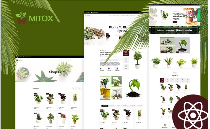 Mitox Gardening & Houseplants React Js Website Template