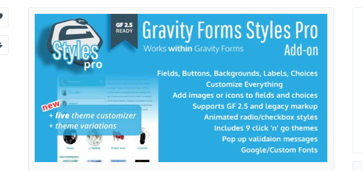 Gravity Forms Styles Pro