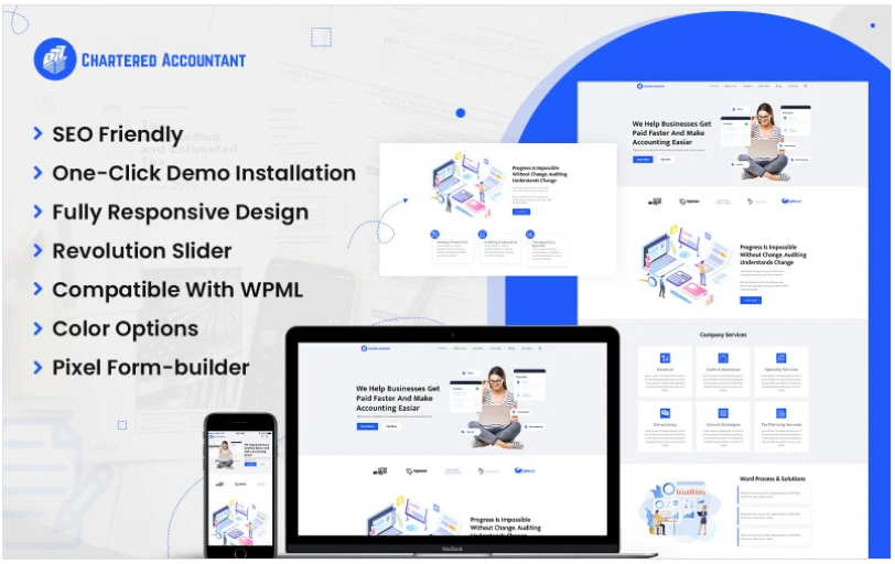 Chartered Accountant WordPress Theme