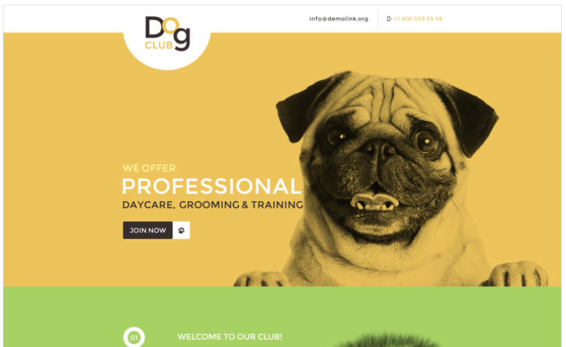Dog Responsive Landing Page Template