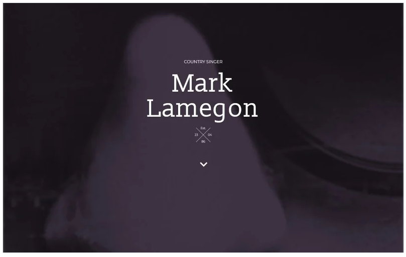Singer Responsive Landing Page Template