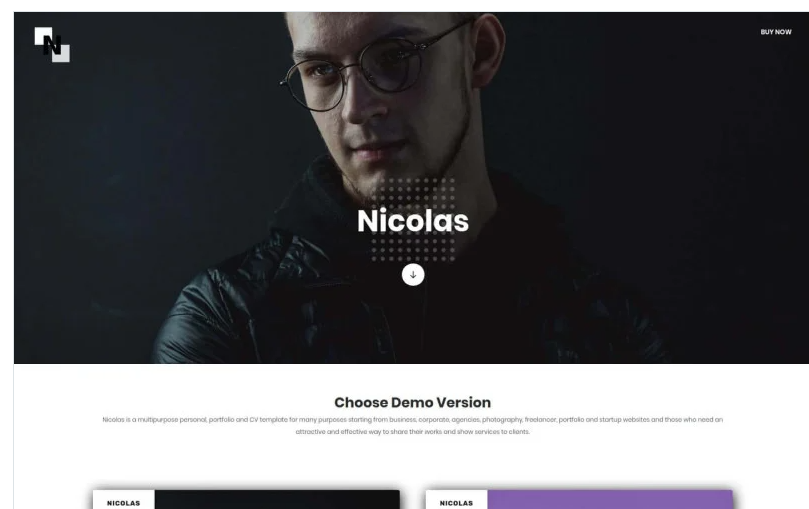 Nicolas - Multipurpose Personal, Portfolio and CV Landing Page Template