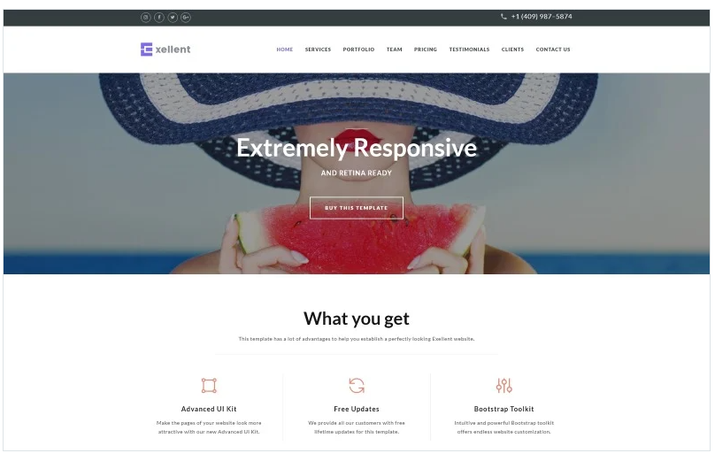 Exellent - Startup with Built-In Novi Builder Landing Page Template