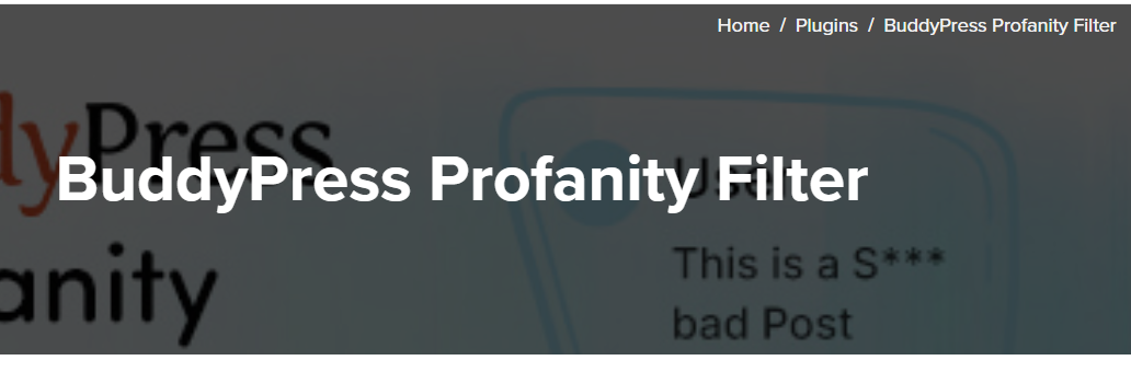 BuddyPress Profanity Filter