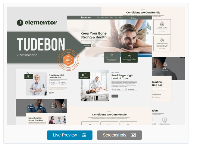 Tudebon - Chiropractic & Physiotherapy Elementor Template Kit