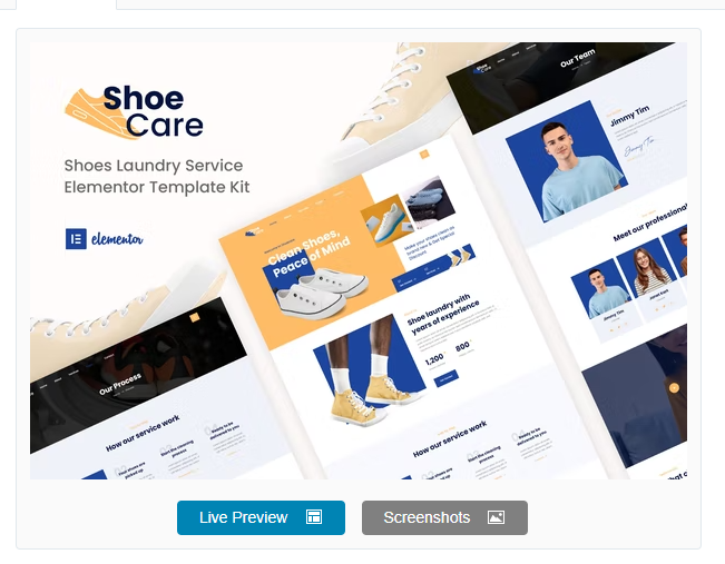 Product Image - Shoecare – Shoe Laundry Service Elementor Template Kit