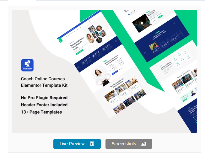 Wellern - Coach Online Courses Elementor Template Kit