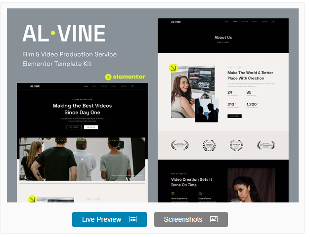 Alvine - Film & Video Production Service Elementor Template Kit